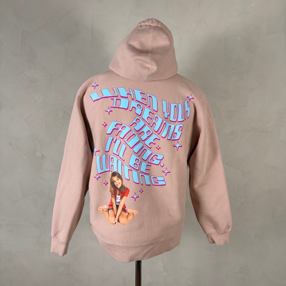 The Hundreds Britney Spears Y2K Graphic Hoodie Pink Pullover M